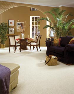 Carpeting Orlando Fl